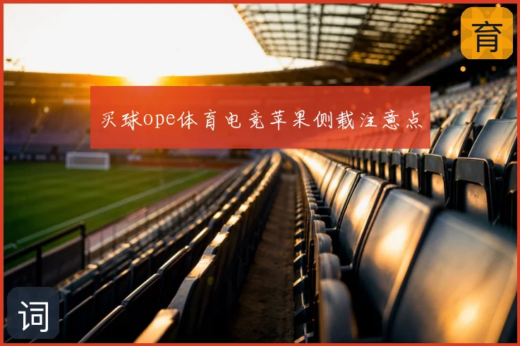买球ope体育电竞苹果侧载注意点