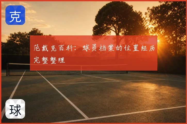 范戴克百科：球员档案的位置经历完整整理