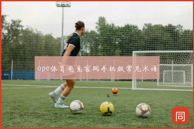 ope体育电竞官网手机版常见术语